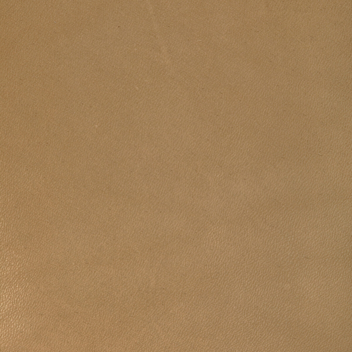 KRAVET DESIGN KRAVET DESIGN L-COIRO-CAMEL