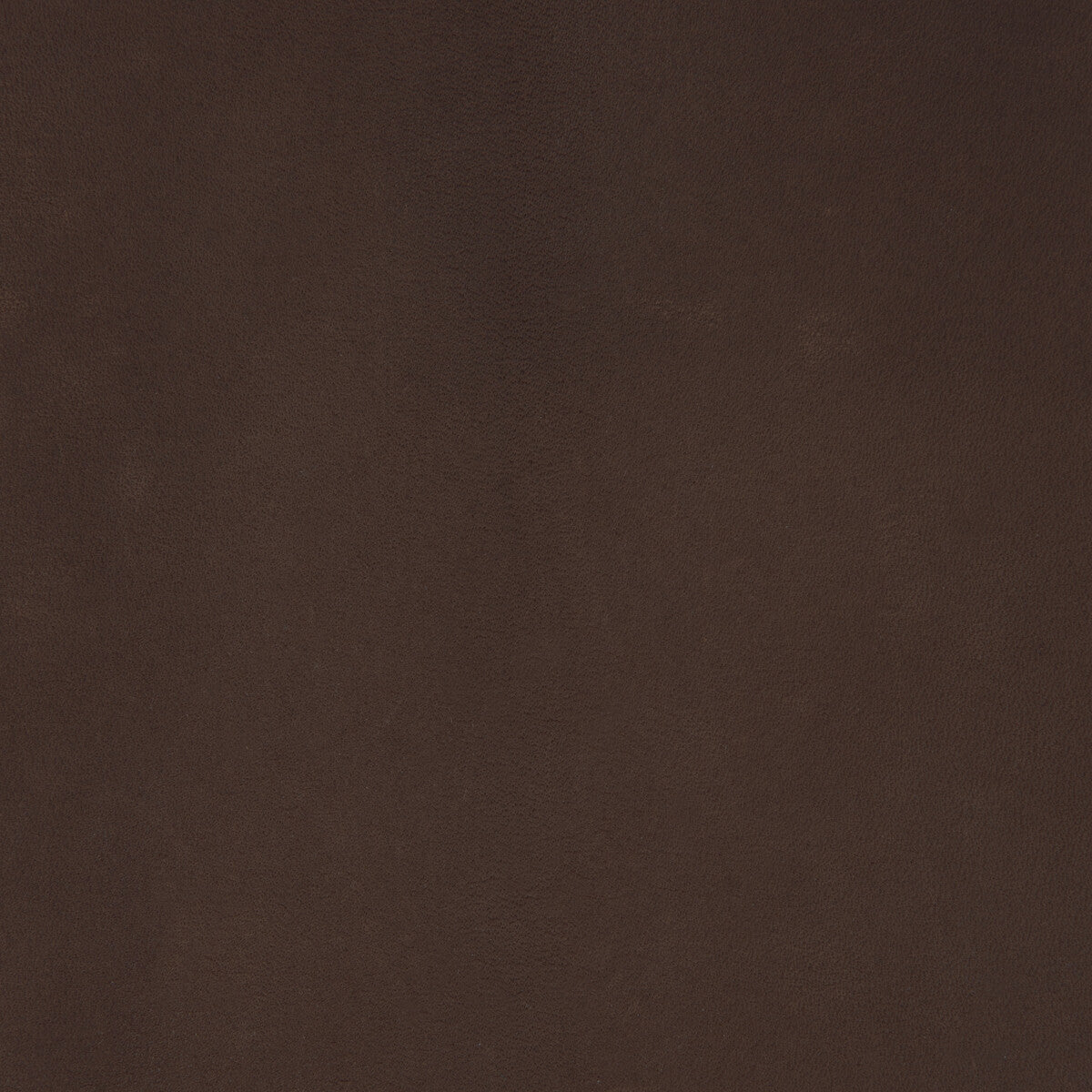 KRAVET DESIGN KRAVET DESIGN L-COIRO-MOLASSES