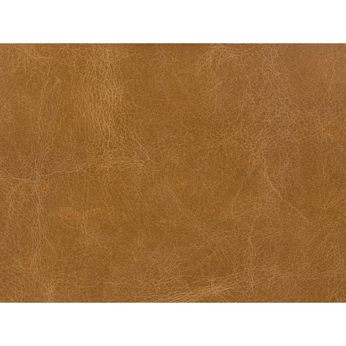 KRAVET COUTURE KRAVET COUTURE L-COSMO-BUCK