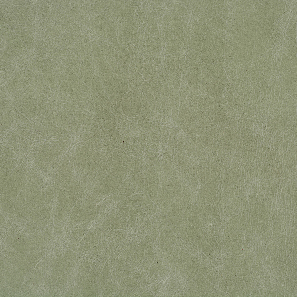 KRAVET DESIGN KRAVET DESIGN L-CUERO-EUCALYPTUS