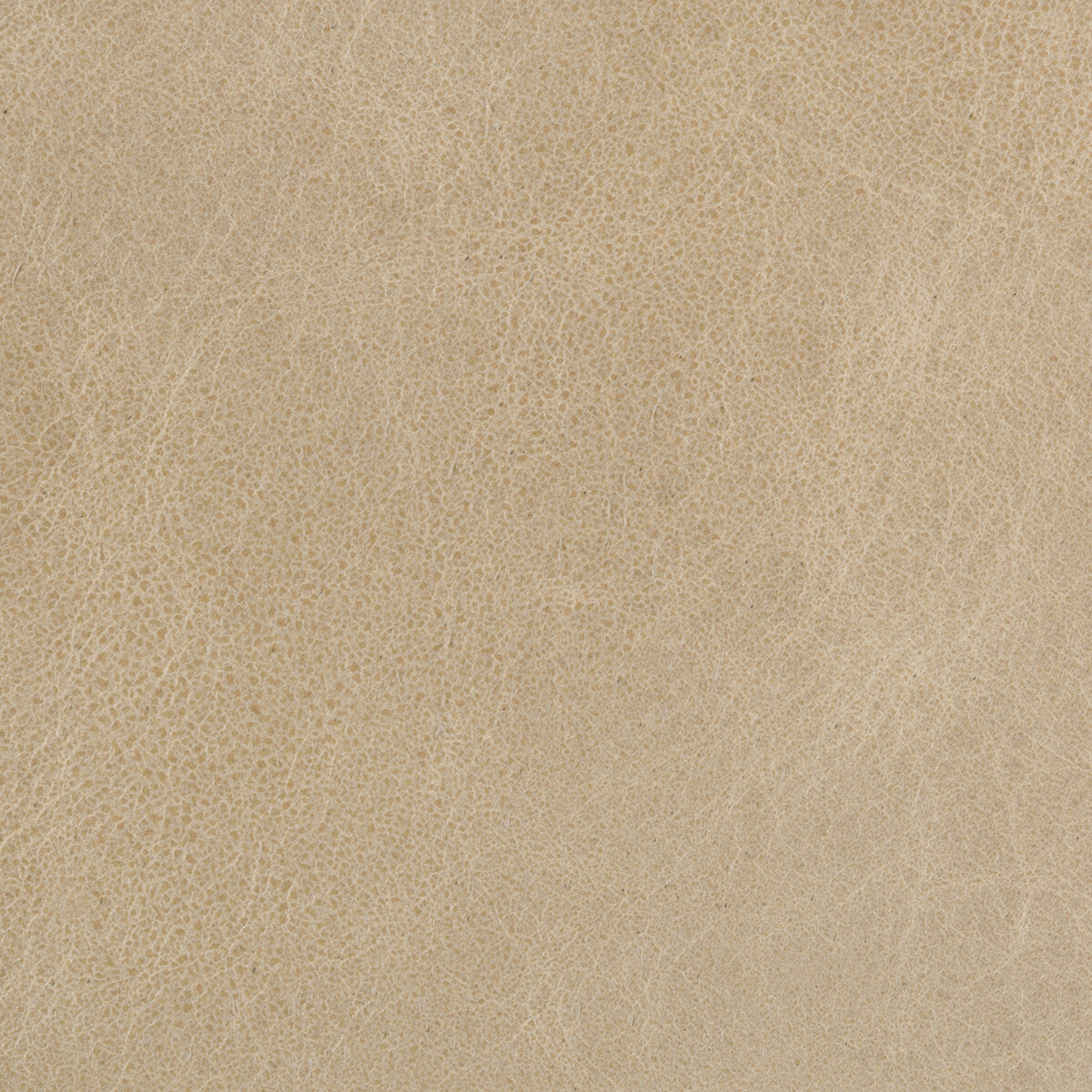 KRAVET COUTURE KRAVET COUTURE L-DAVOS-OATMEAL
