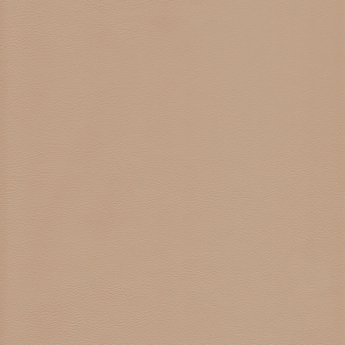 KRAVET DESIGN KRAVET DESIGN L-HOWDY-BIRCH