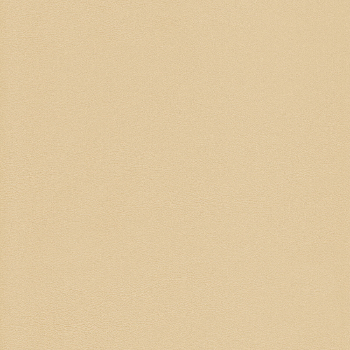 KRAVET DESIGN KRAVET DESIGN L-HOWDY-BUTTER