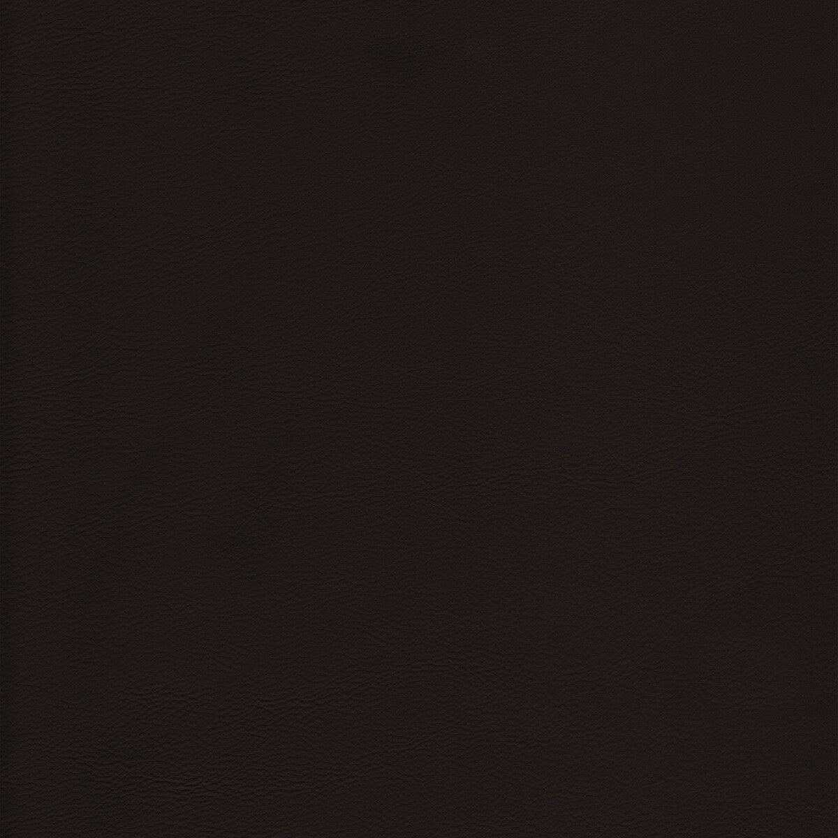 KRAVET DESIGN KRAVET DESIGN L-HOWDY-CAPPUCCINO