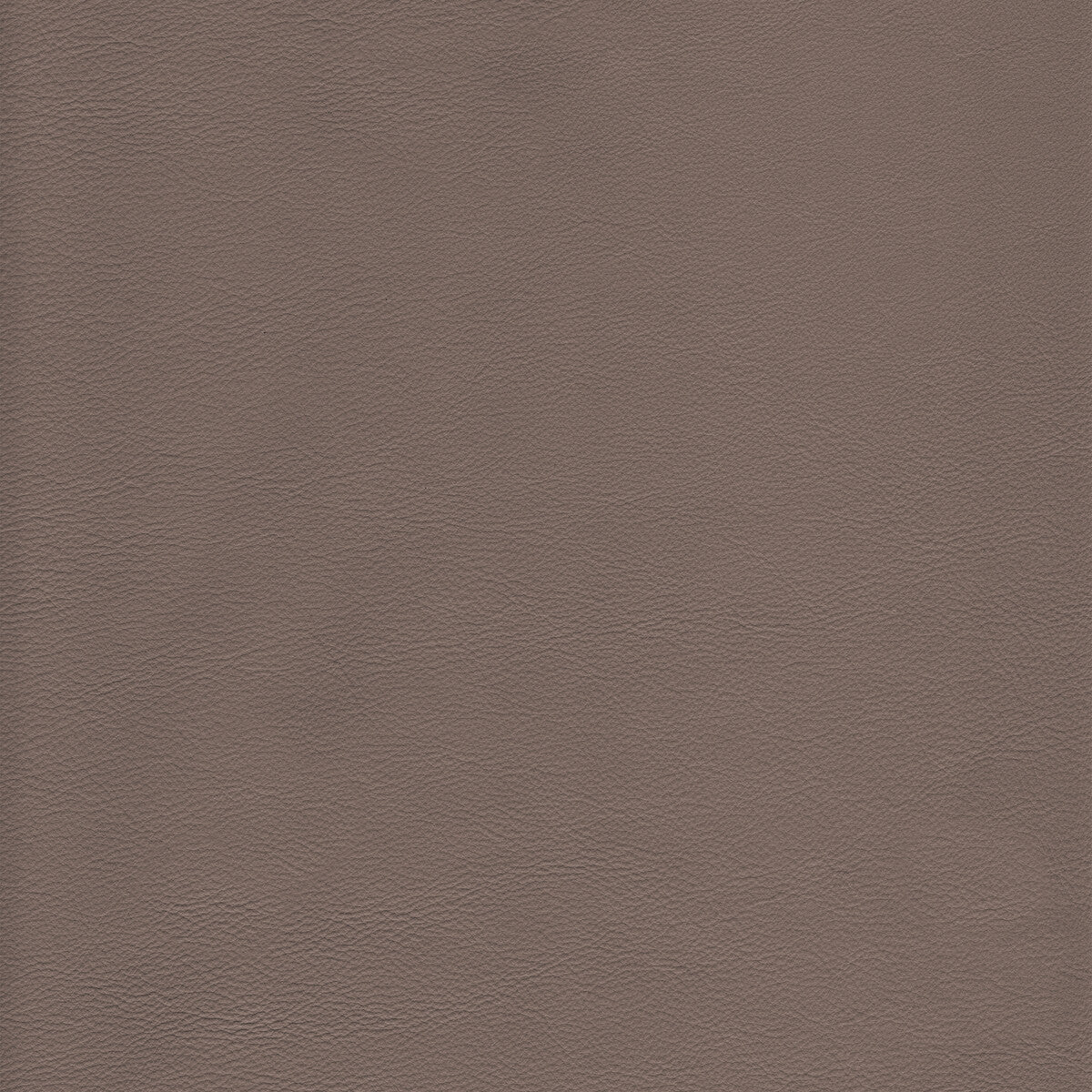 KRAVET DESIGN KRAVET DESIGN L-HOWDY-DOLPHIN
