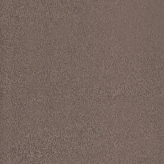 KRAVET DESIGN KRAVET DESIGN L-HOWDY-DOLPHIN