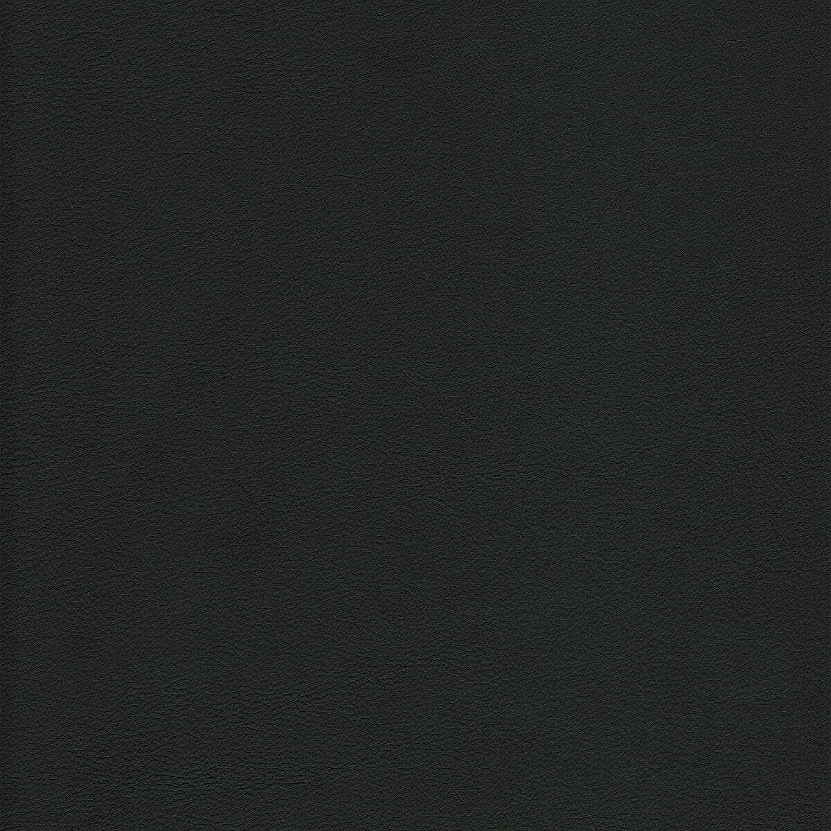 KRAVET DESIGN KRAVET DESIGN L-HOWDY-EVERGREEN