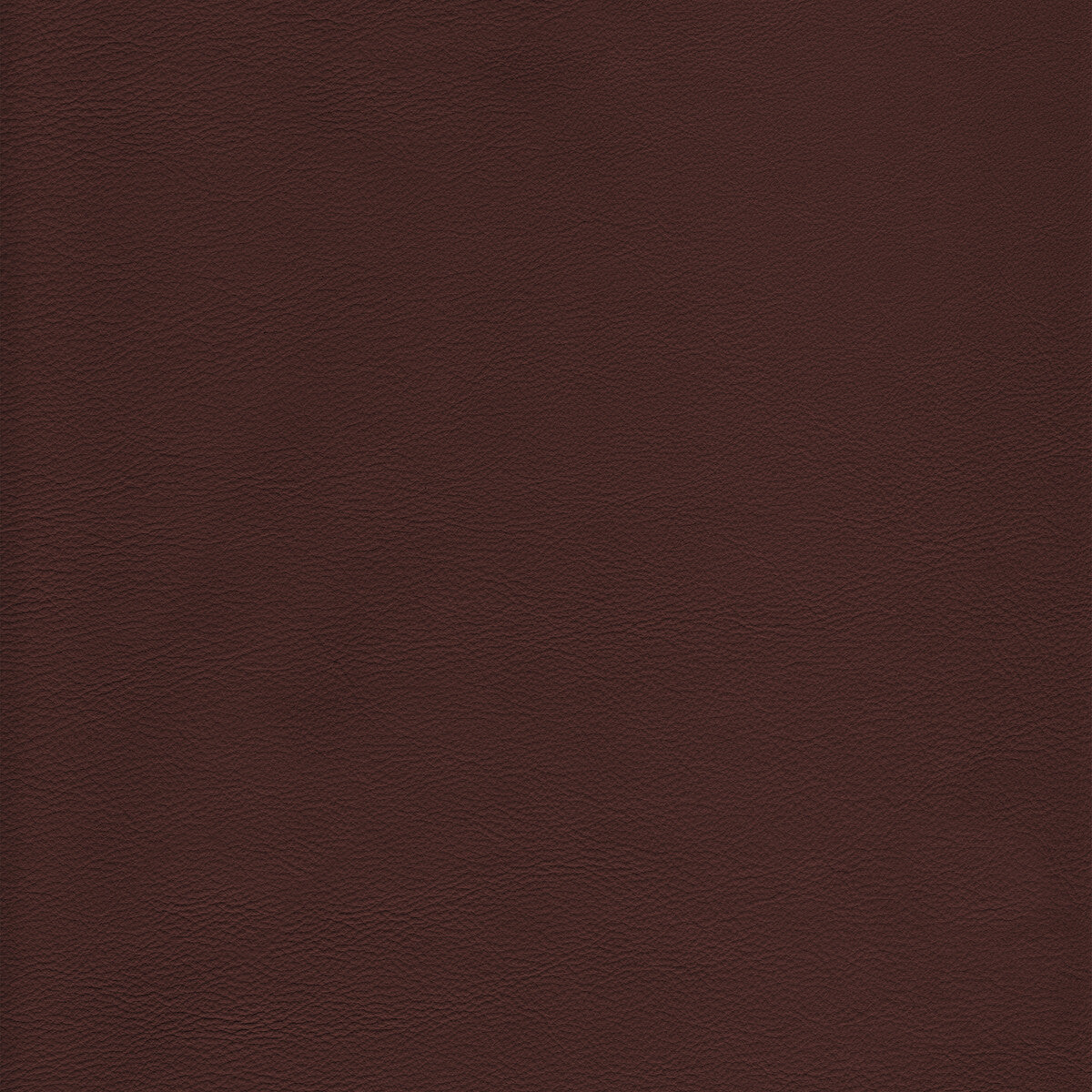 KRAVET DESIGN KRAVET DESIGN L-HOWDY-LATTE
