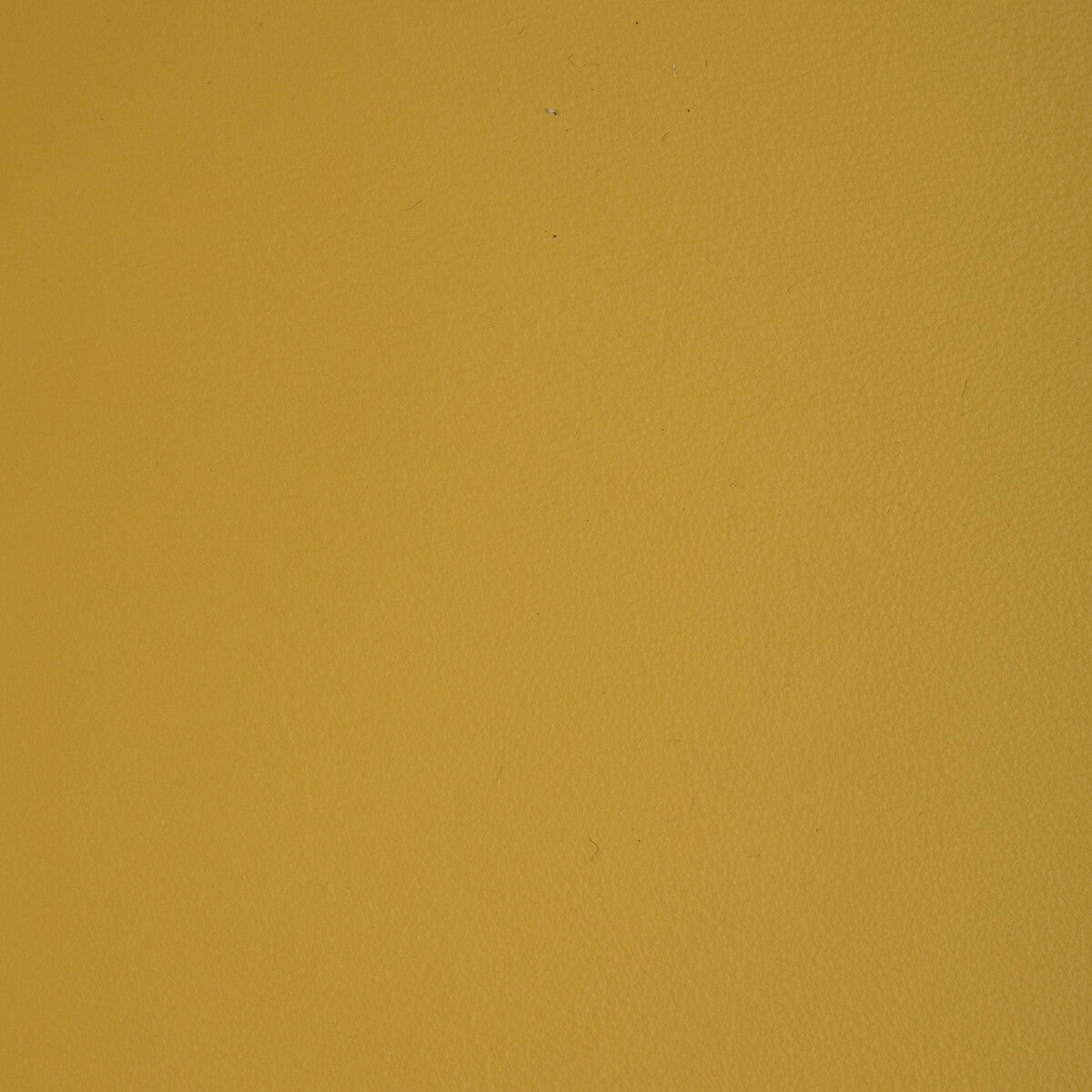 KRAVET DESIGN KRAVET DESIGN L-HOWDY-SUNSHINE