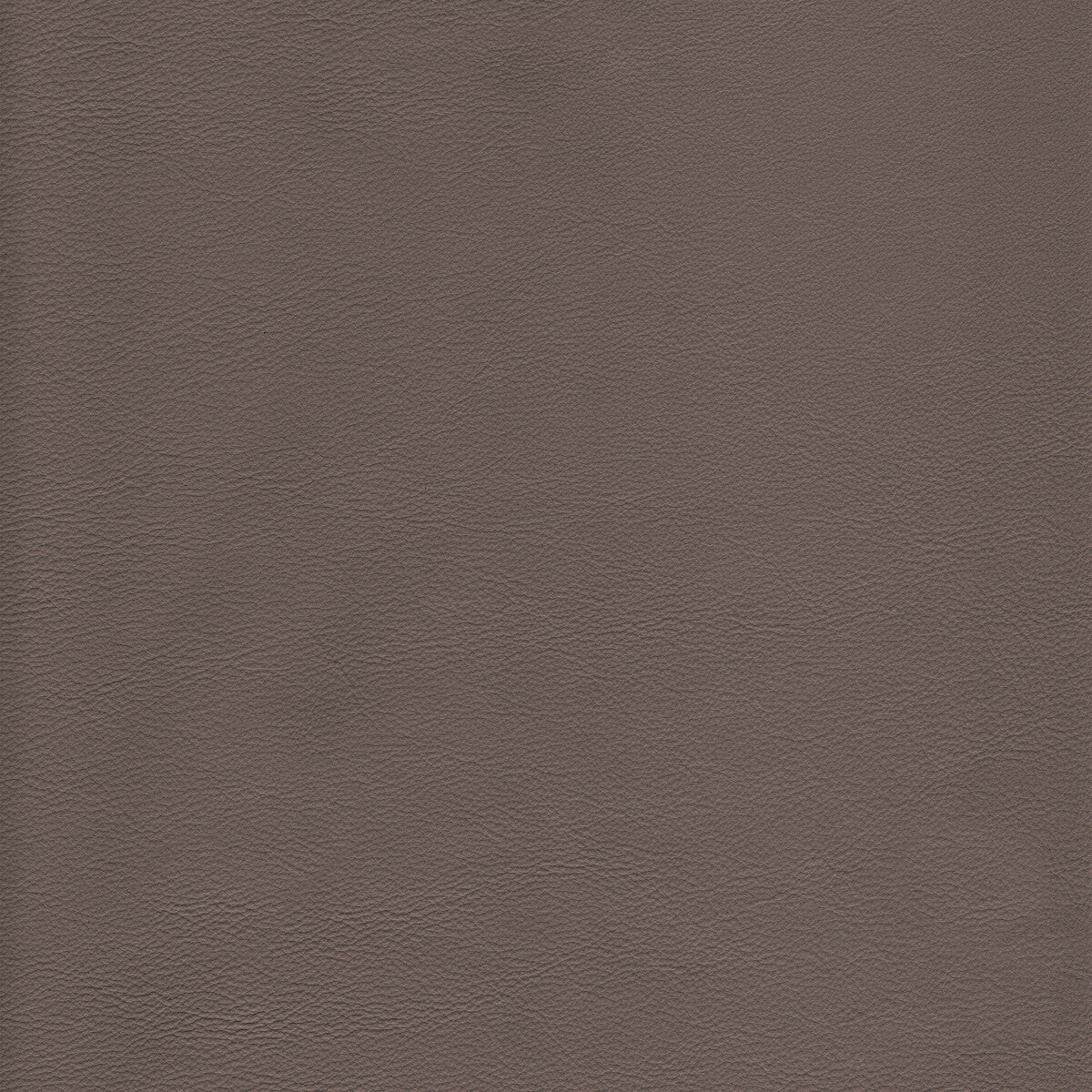 KRAVET DESIGN KRAVET DESIGN L-HOWDY-TAUPE