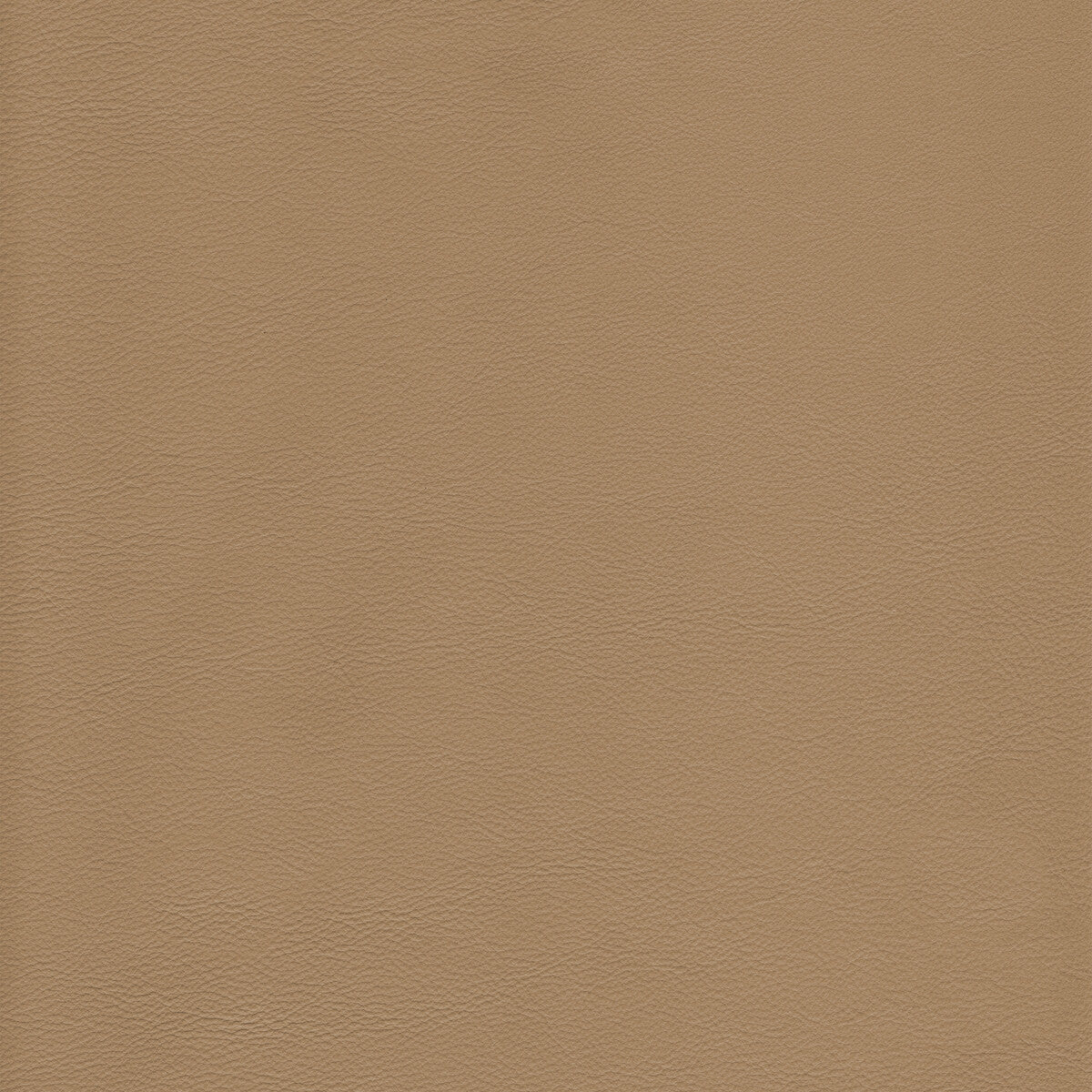 KRAVET DESIGN KRAVET DESIGN L-HOWDY-TEA
