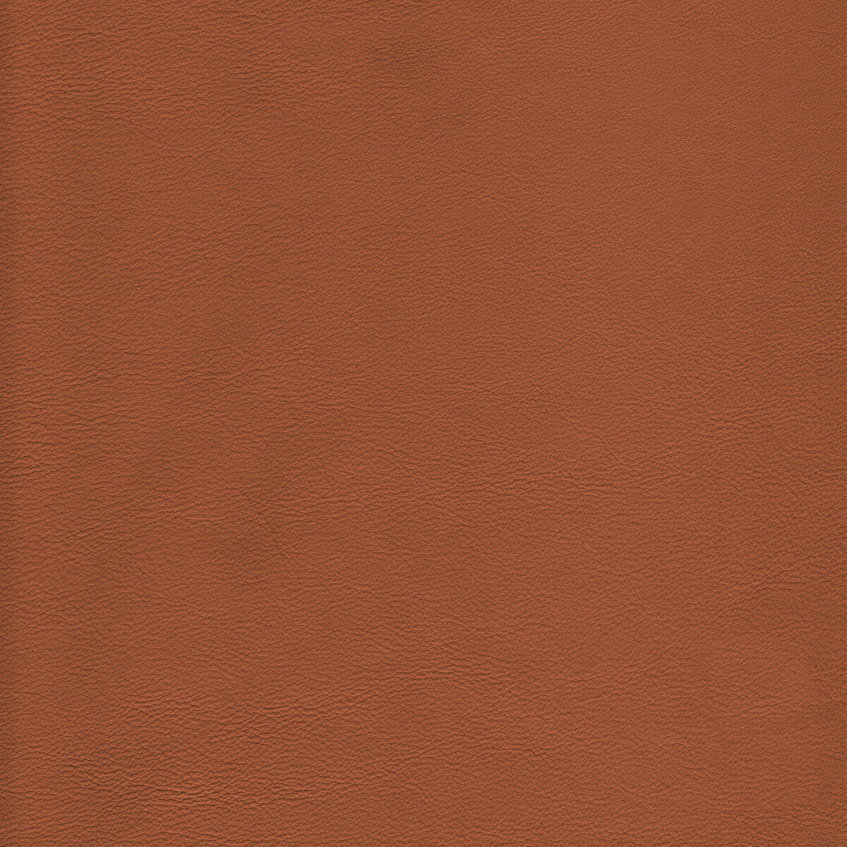 KRAVET DESIGN KRAVET DESIGN L-HOWDY-TOFFEE