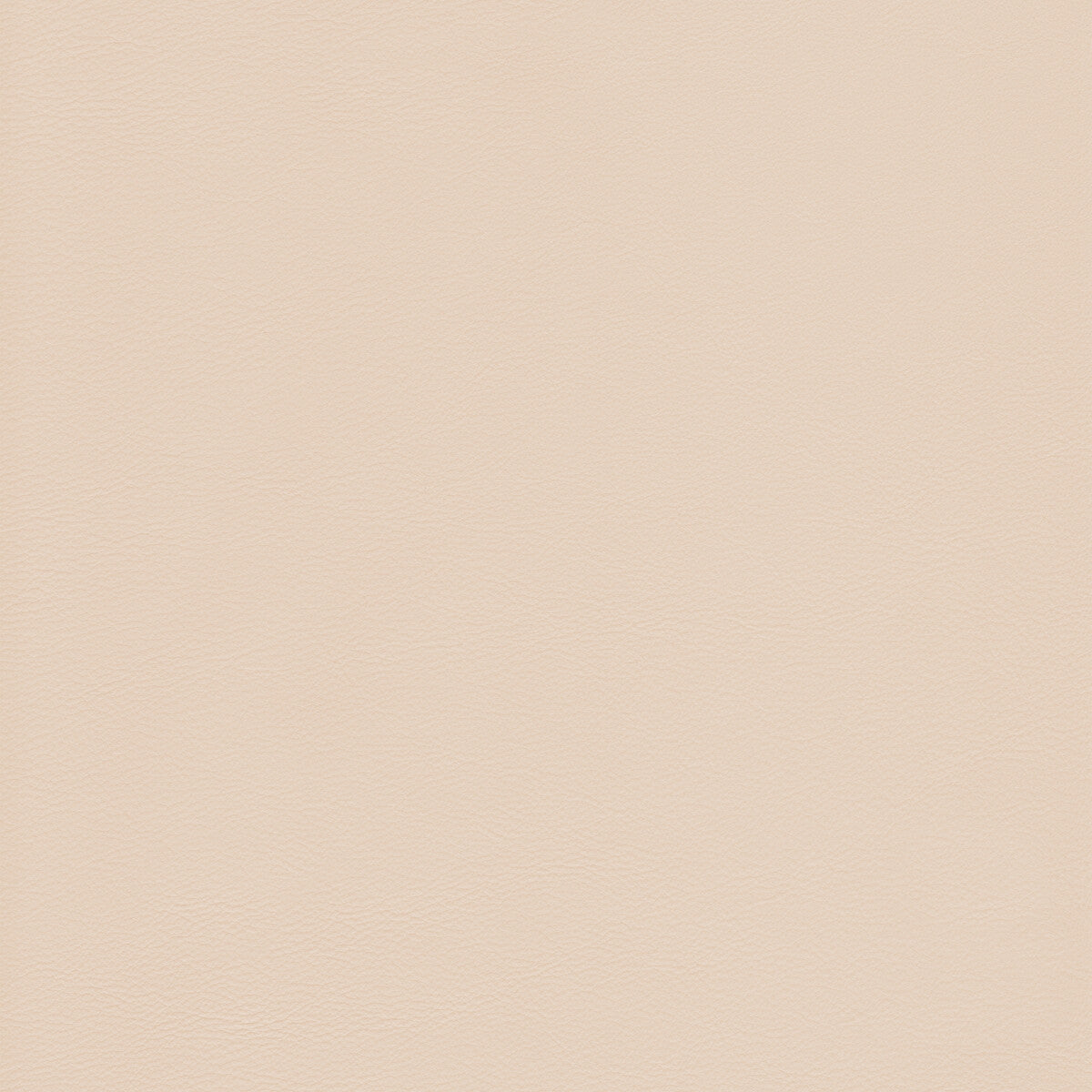 KRAVET DESIGN KRAVET DESIGN L-HOWDY-TUSK