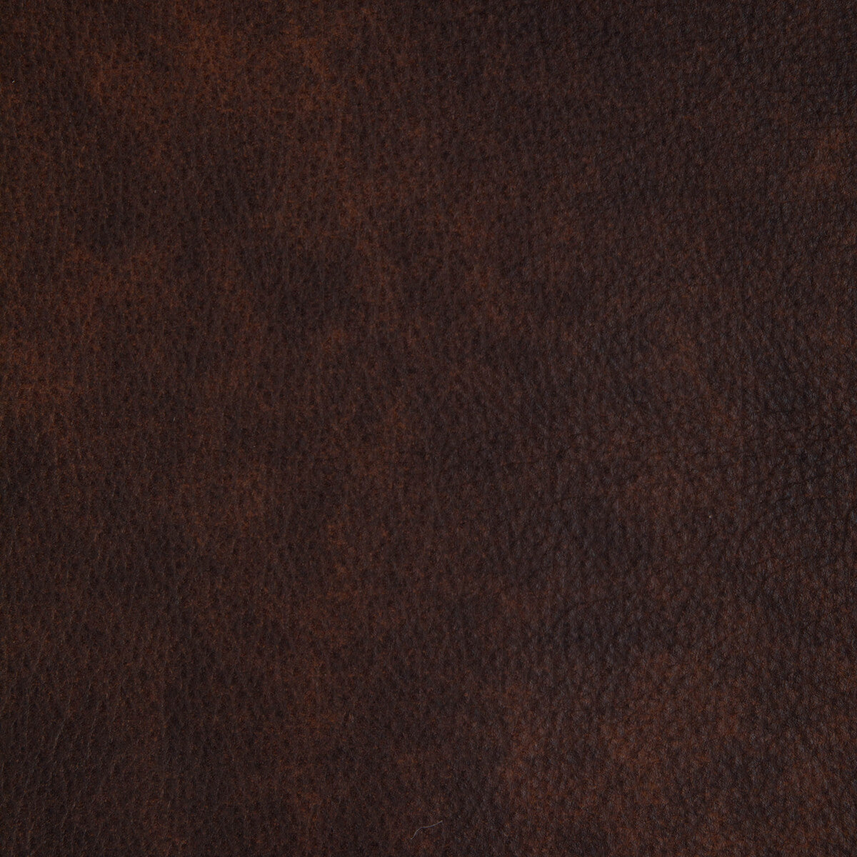 KRAVET DESIGN KRAVET DESIGN L-LARAMIE-CEDAR