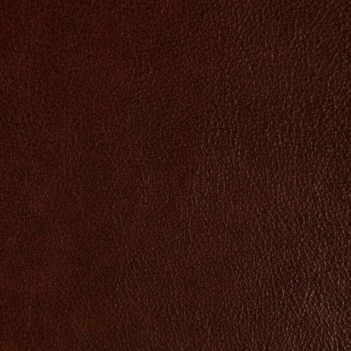 KRAVET DESIGN KRAVET DESIGN L-LARAMIE-TAWNY
