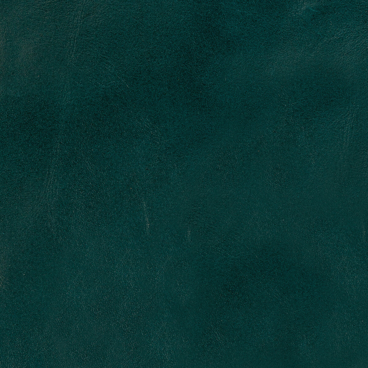 KRAVET DESIGN KRAVET DESIGN L-LOBO-TEAL