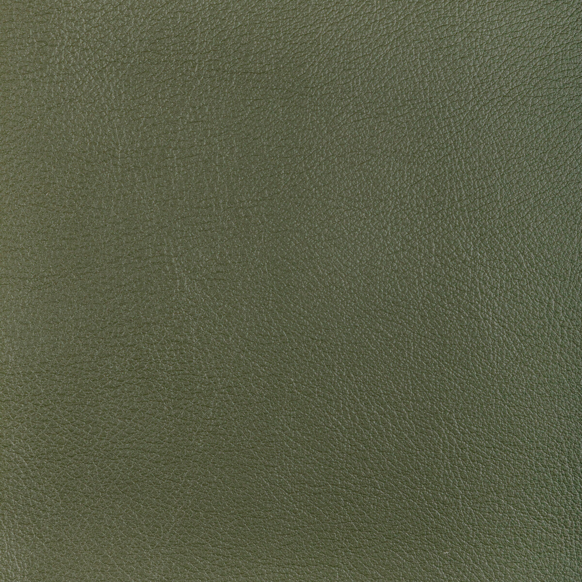 KRAVET DESIGN KRAVET DESIGN L-OCOTILLO-HUNTER