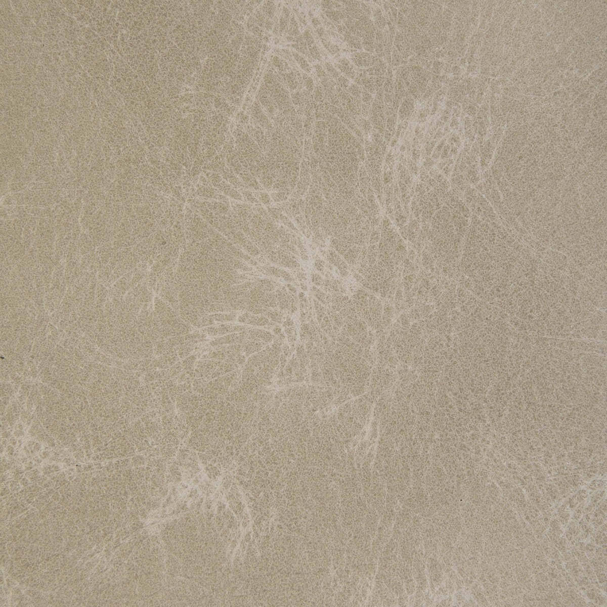 KRAVET DESIGN L-OVINE BONE