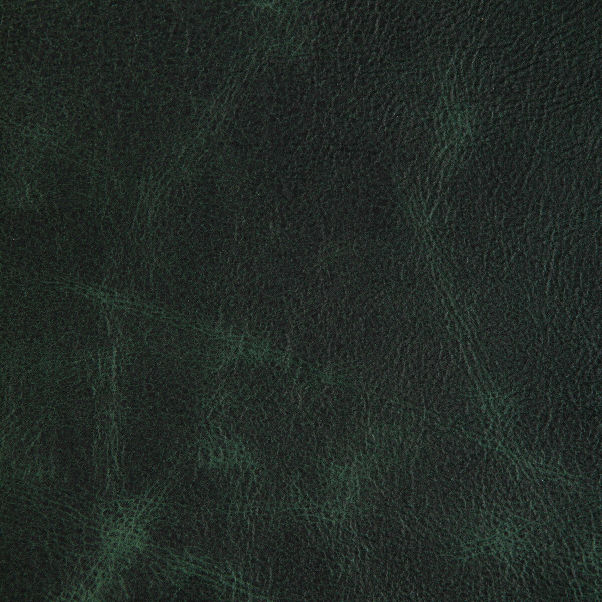 KRAVET DESIGN L-OVINE HUNTER
