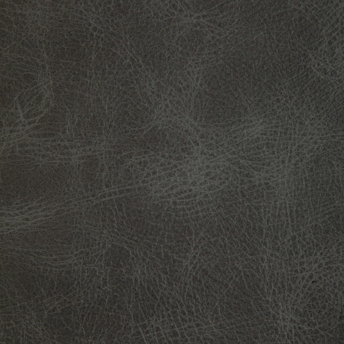KRAVET DESIGN L-OVINE STORM
