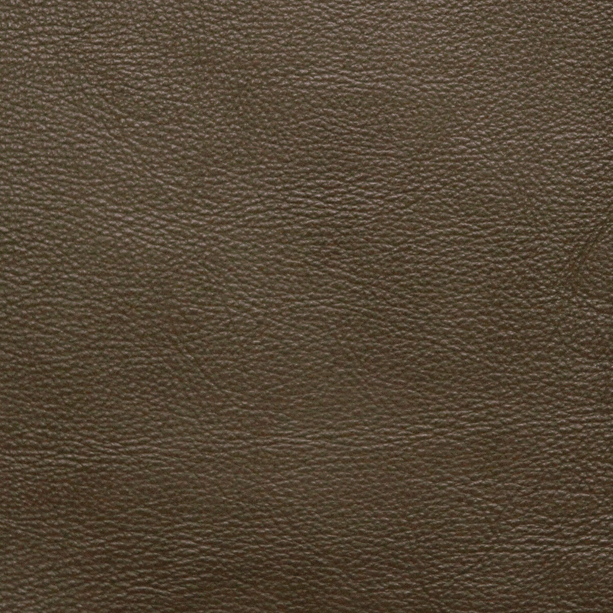 KRAVET DESIGN KRAVET DESIGN L-PORTOFIN-SAGE