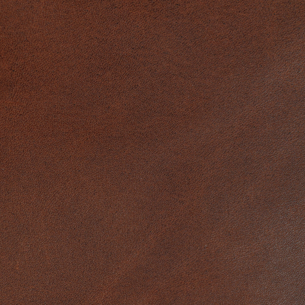 KRAVET DESIGN KRAVET DESIGN L-STORRIE-COCOA