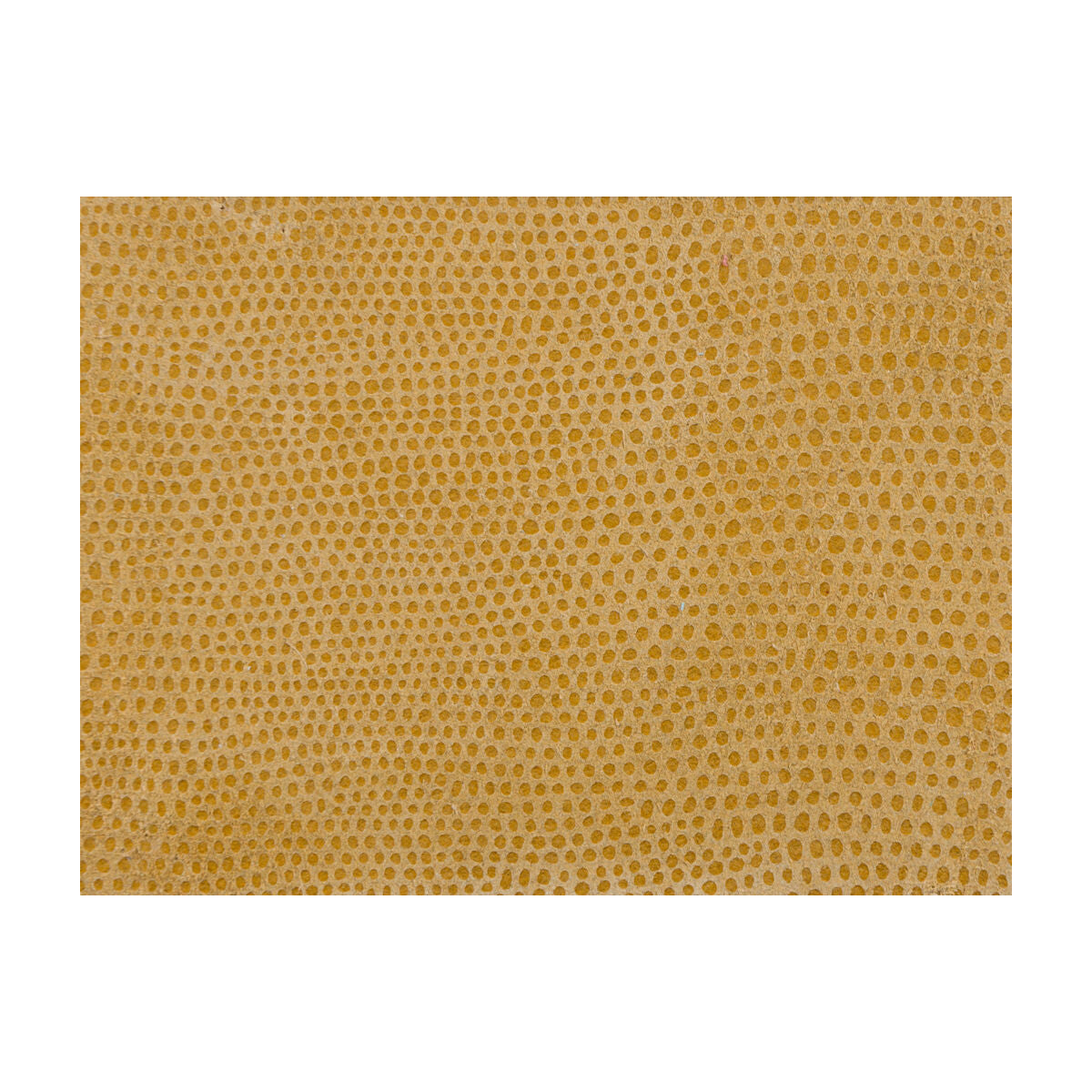 KRAVET DESIGN L-VAVOOM COIN