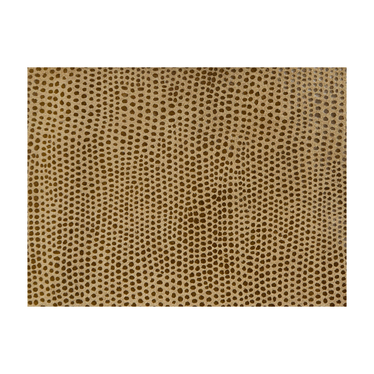 KRAVET DESIGN L-VAVOOM TAWNY