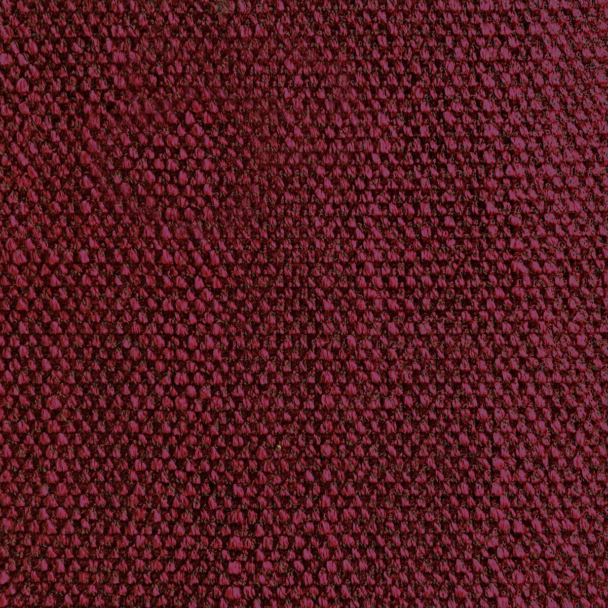 GASTON Y DANIELA HUGO CEREZA