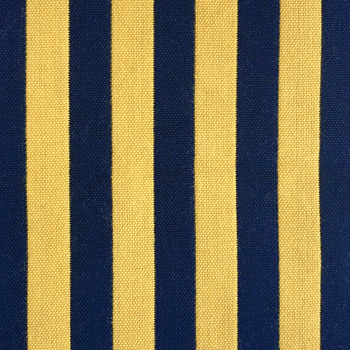 GASTON Y DANIELA BENJAMIN AMARILLO/NAVY