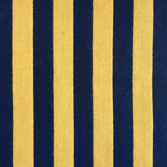 GASTON Y DANIELA BENJAMIN AMARILLO/NAVY