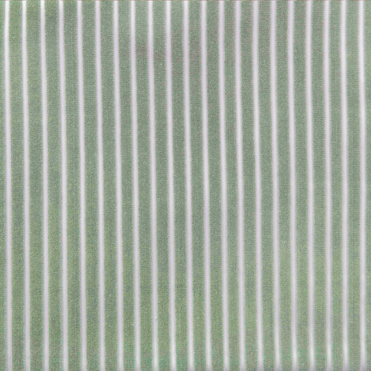 GASTON Y DANIELA MAYRIT VERDE GRIS