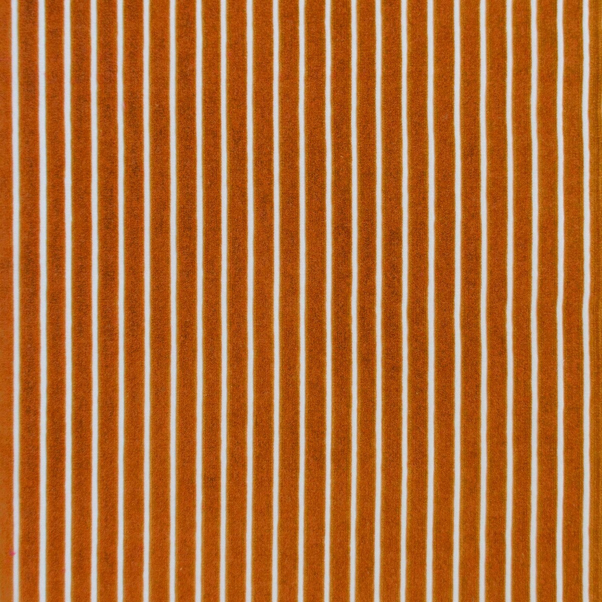 GASTON Y DANIELA MAYRIT CALABAZA