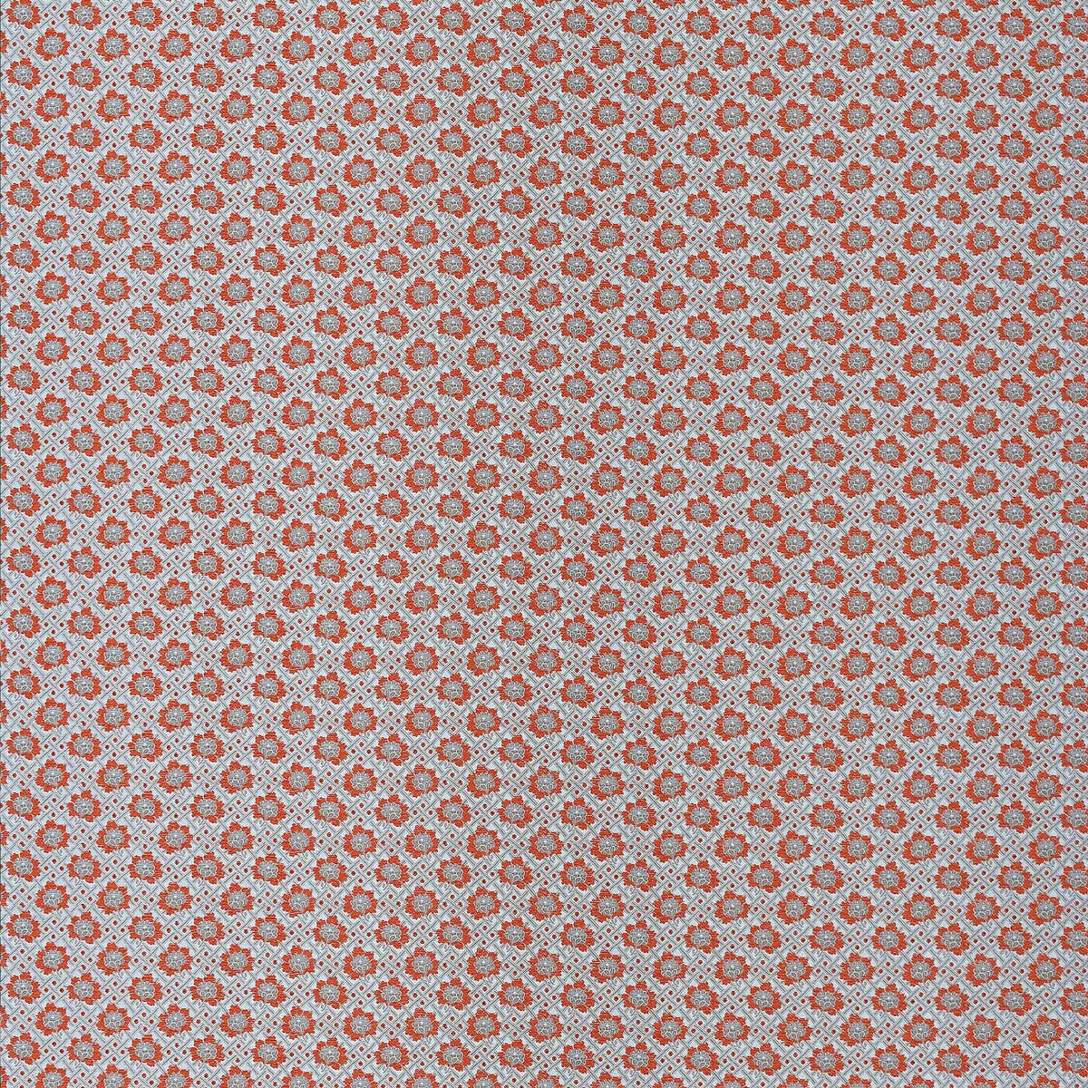 GASTON Y DANIELA ESPINELA NARANJA