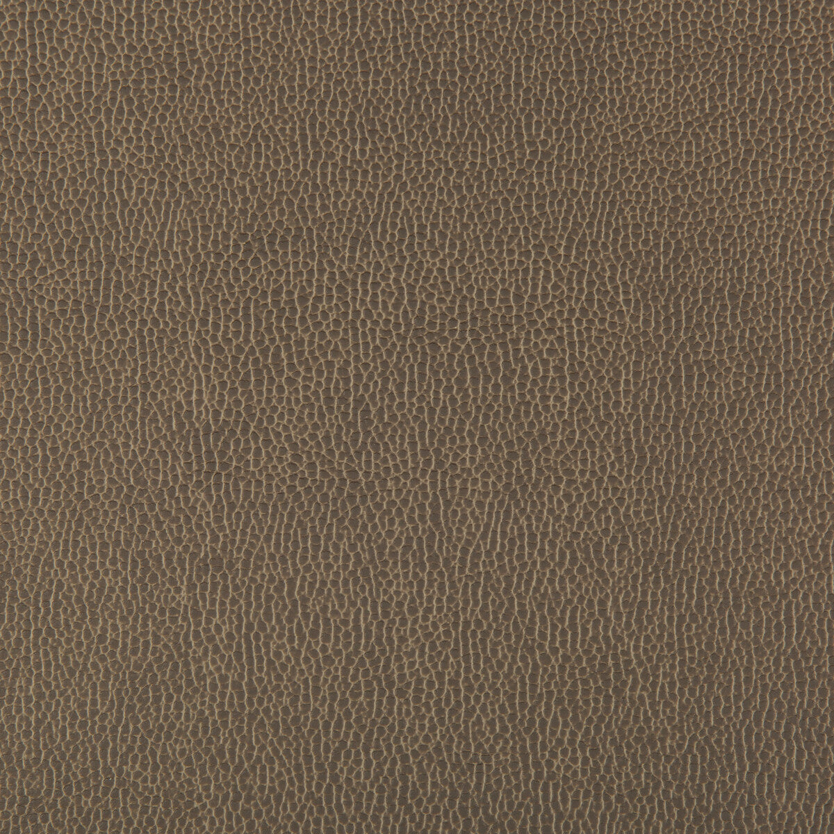 KRAVET CONTRACT LENOX ELEPHANT
