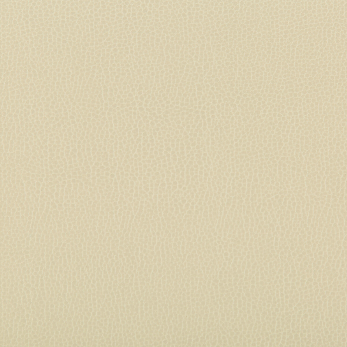 KRAVET CONTRACT LENOX PAPYRUS
