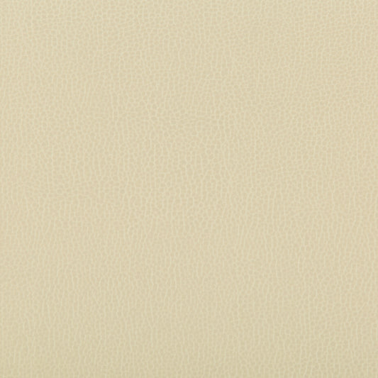 KRAVET CONTRACT LENOX PAPYRUS