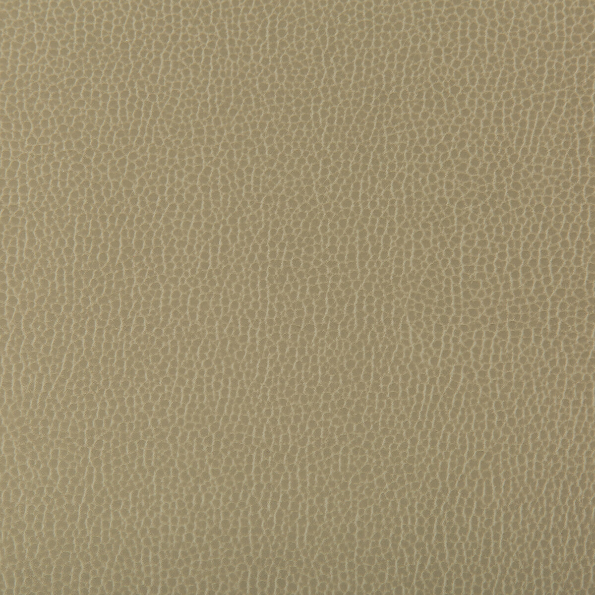 KRAVET CONTRACT LENOX ELM