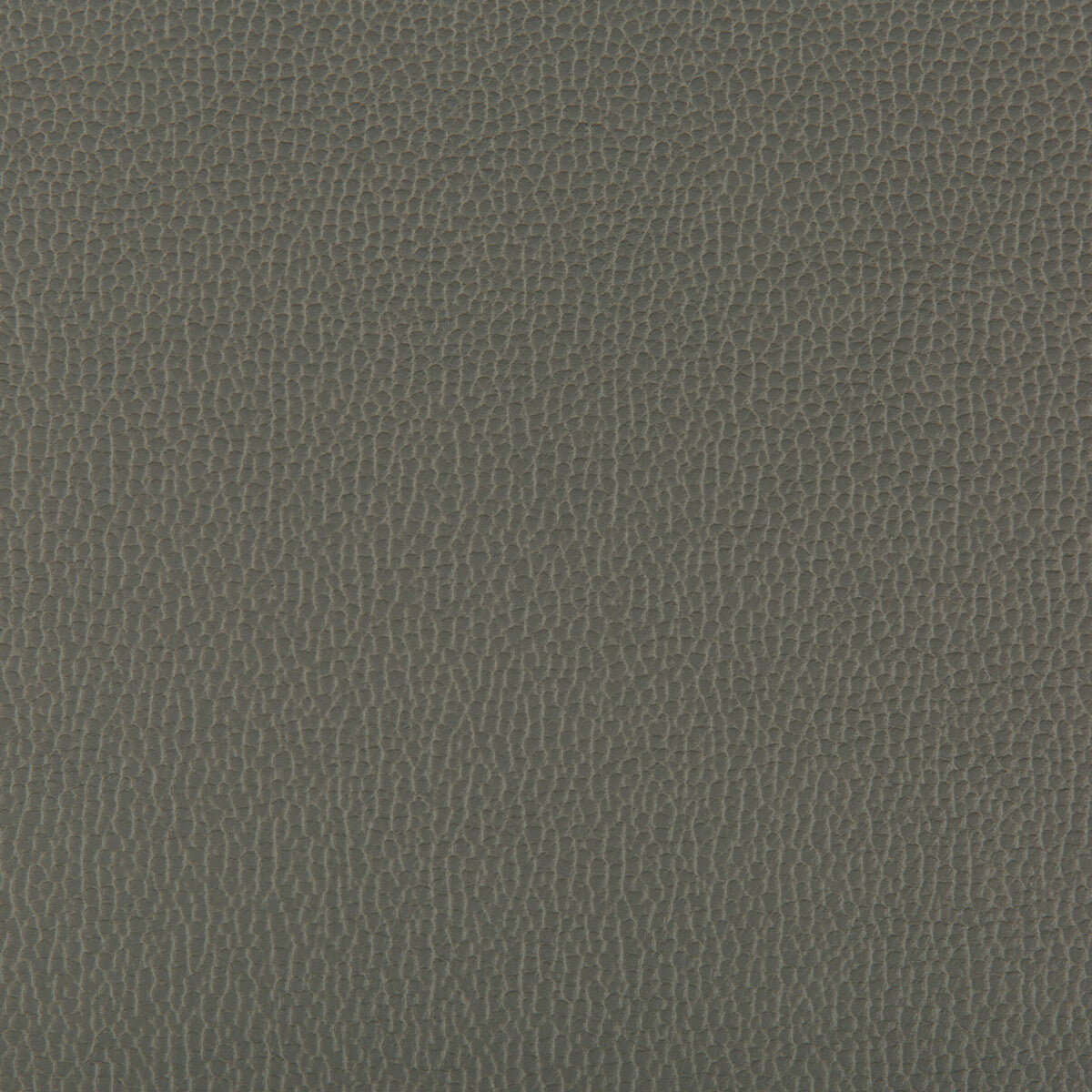 KRAVET CONTRACT LENOX SHADOW