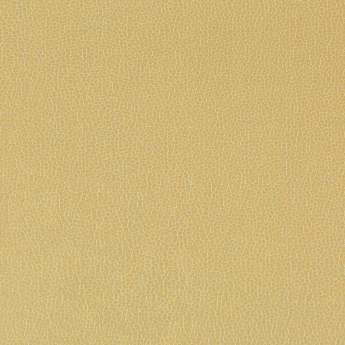 KRAVET CONTRACT LENOX SESAME