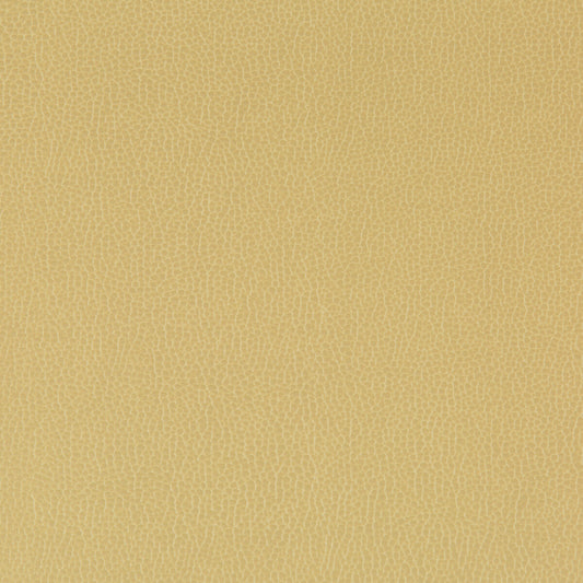 KRAVET CONTRACT LENOX SESAME