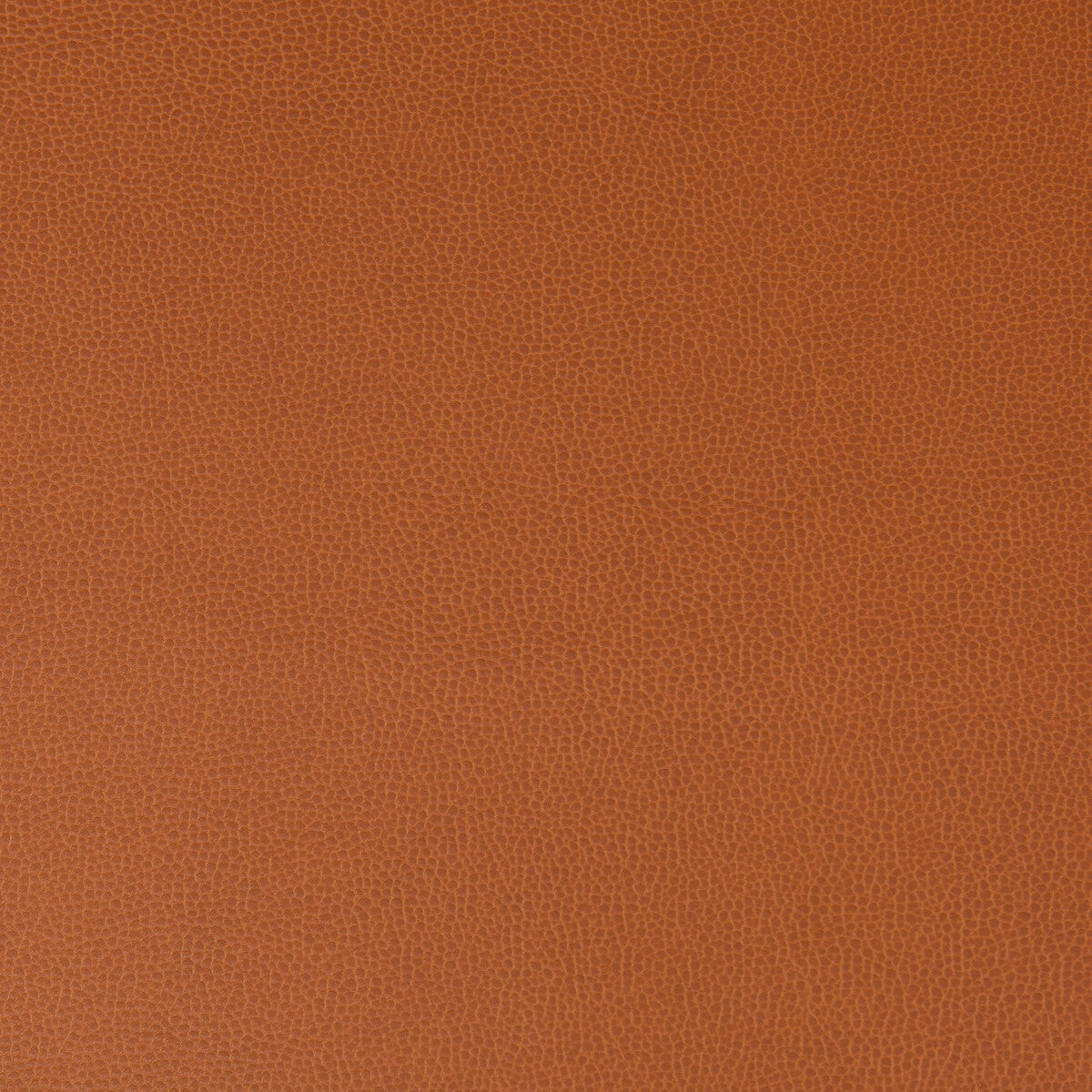 KRAVET CONTRACT LENOX CANYON