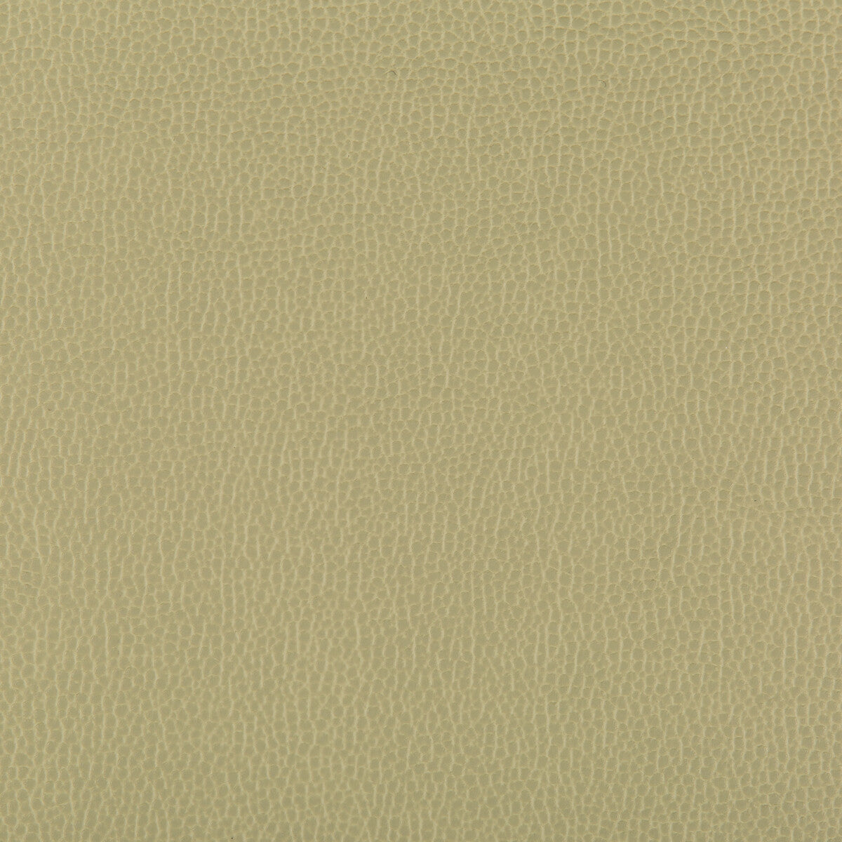 KRAVET CONTRACT LENOX SAGE