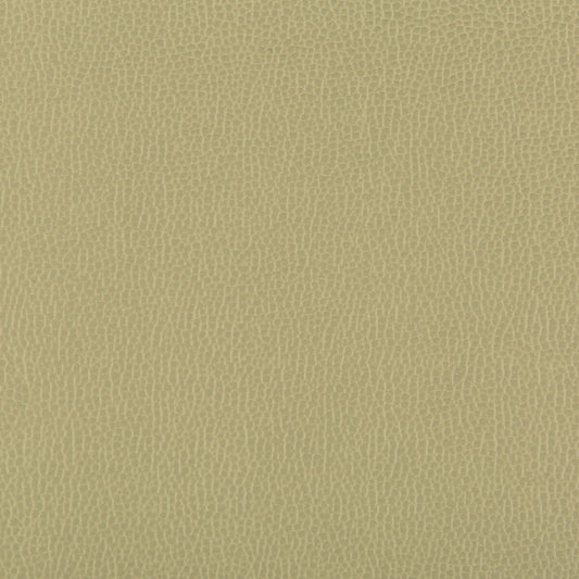 KRAVET CONTRACT LENOX SAGE