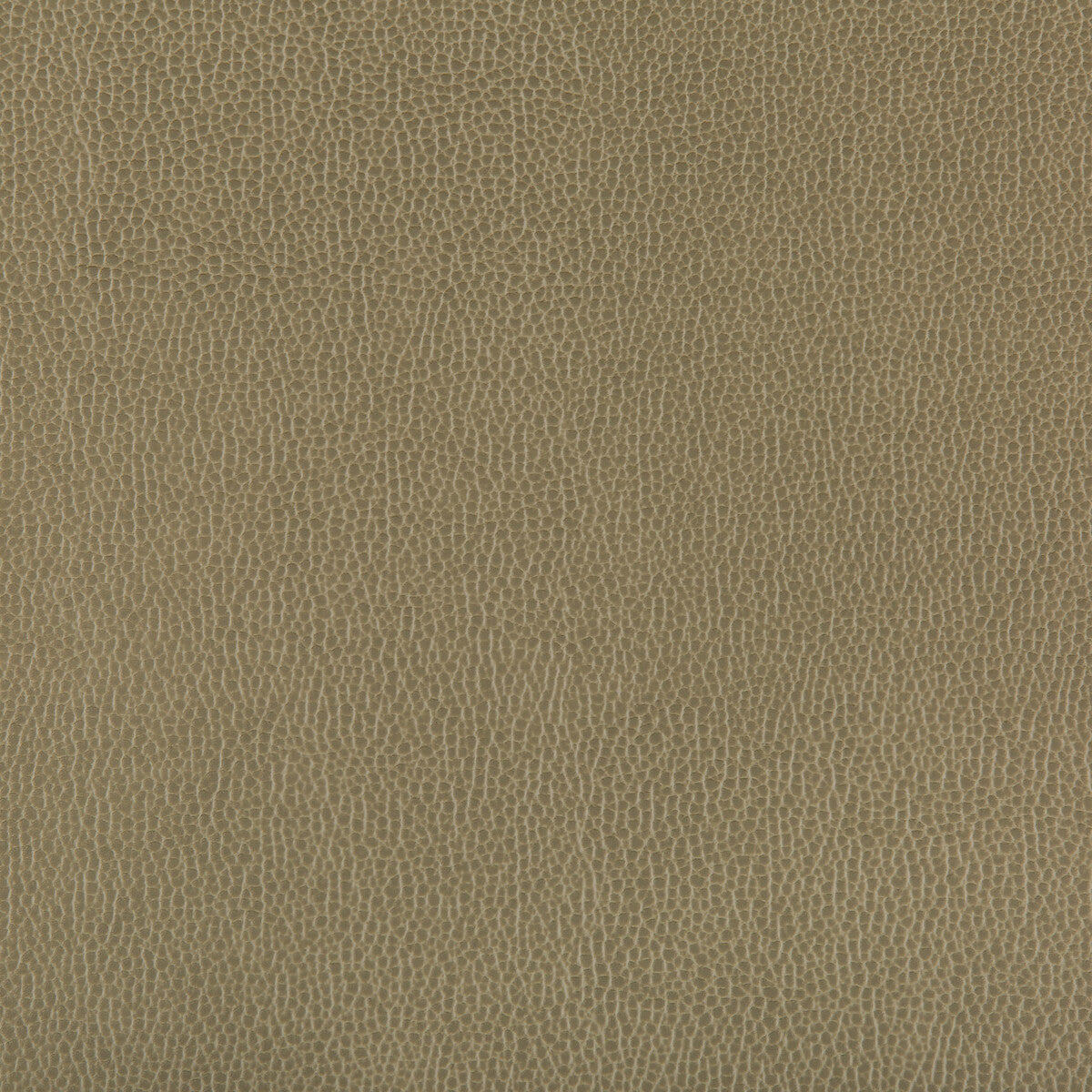 KRAVET CONTRACT LENOX BAYLEAF