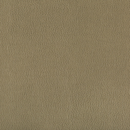 KRAVET CONTRACT LENOX BAYLEAF