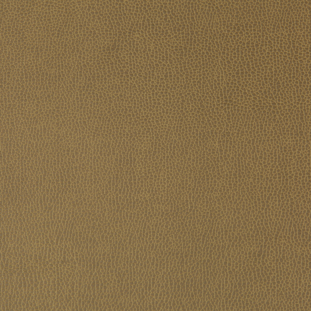KRAVET CONTRACT LENOX SPARROW