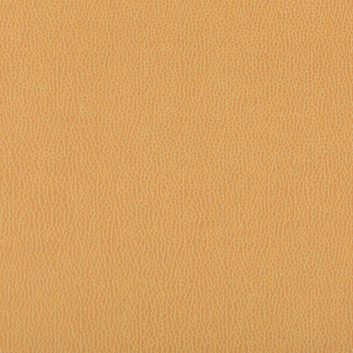 KRAVET CONTRACT LENOX CAMEL