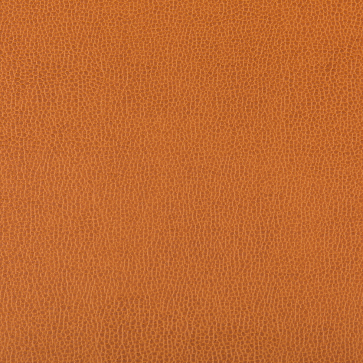 KRAVET CONTRACT LENOX MARMALADE