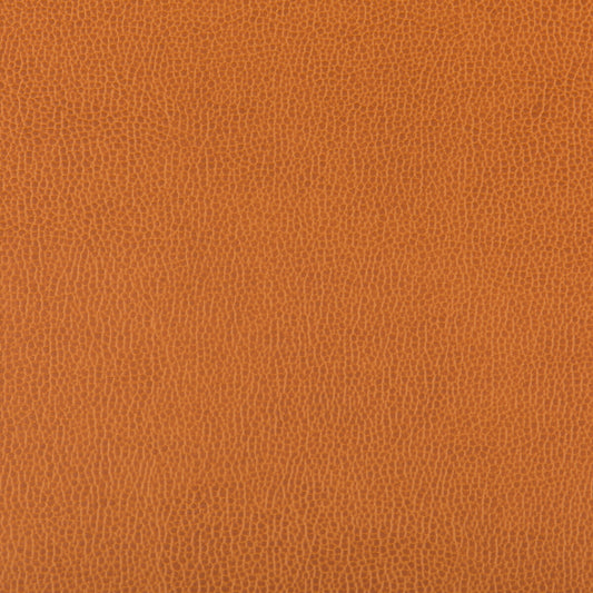 KRAVET CONTRACT LENOX MARMALADE